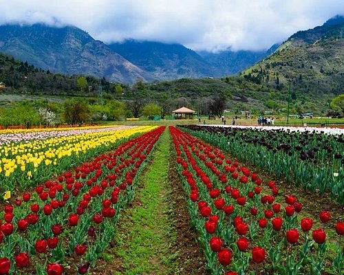 kashmir tour package